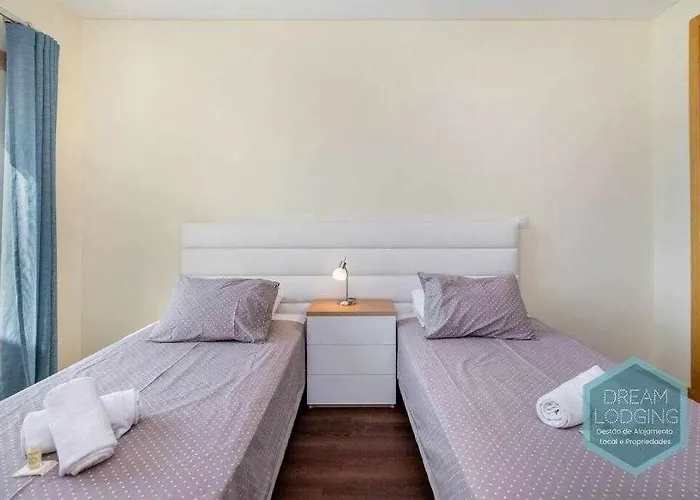 Medronheira B2 - Dream *