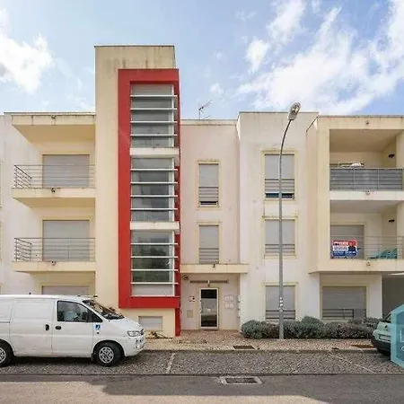 Medronheira B2 - Dream